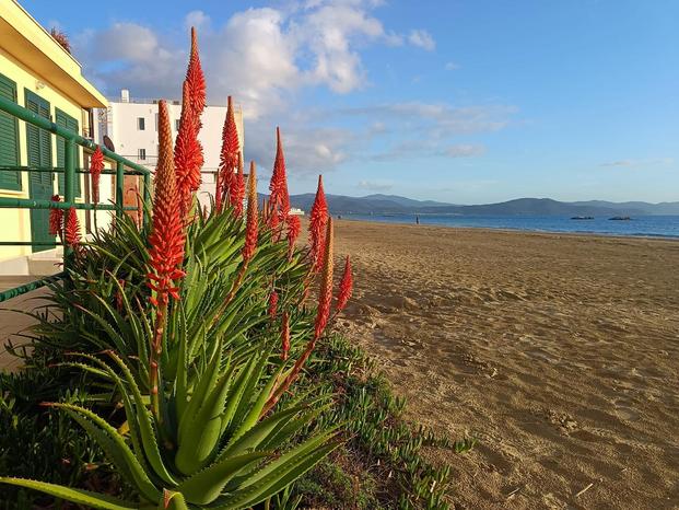 LINDHOME IMMOBILIARE | Subito