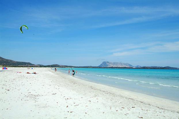 Scv service di Paolo Del Sero | Subito