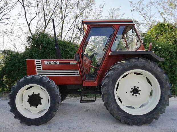 AGRI UBERTINI - Corinaldo | Subito