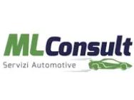 ML CONSULT logo