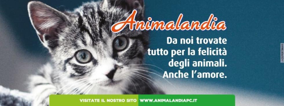 Animalandia
