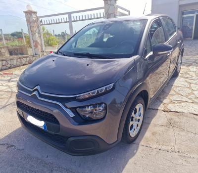 LUPO RINALDO - Alcamo | Subito