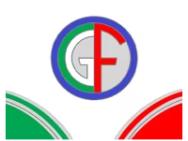 CGF CARS logo