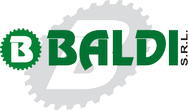 Baldi srl logo