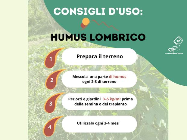 VITA NEL SUOLO - Gaggio Montano | Subito