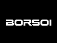 Borsoi Moto logo