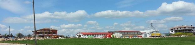 Sud Cereali S.r.l - Bisaccia | Subito