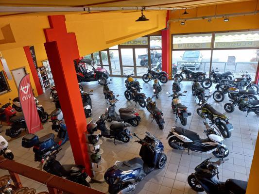 CARDELLINI MOTO SRL - Pesaro | Subito