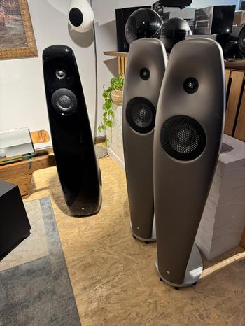 DIGITEX AUDIOVIDEO SRL - Rosa' | Subito