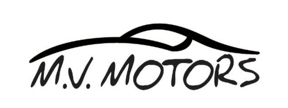mariani valerio motors srl