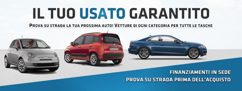 Vitenauto