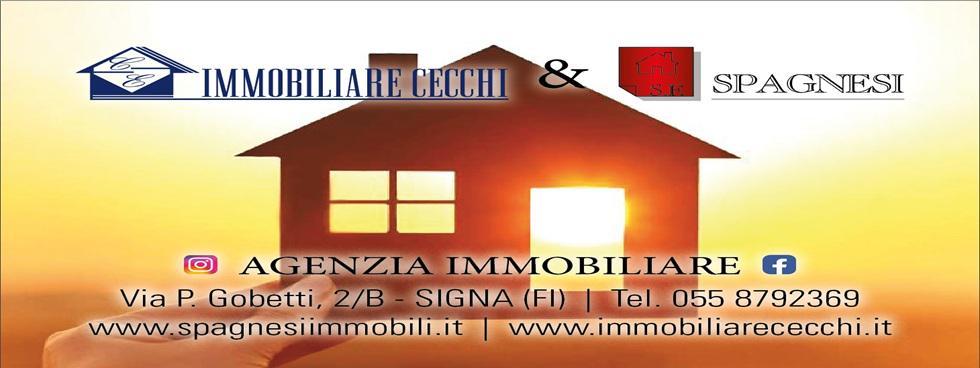 IMMOBILIARE CECCHI & SPAGNESI