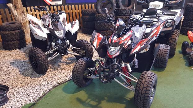 DMB QUAD - Polaris - Aeon - Cfmoto - Goes - Brignano Gera d'Adda | Subito