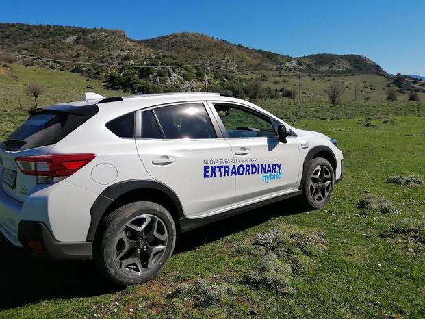 PLEIADI AUTO SRL CONCESSIONARIA SUBARU GREAT WALL - Palermo | Subito