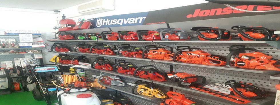 LAZZARO ALBERTO CITTADELLA