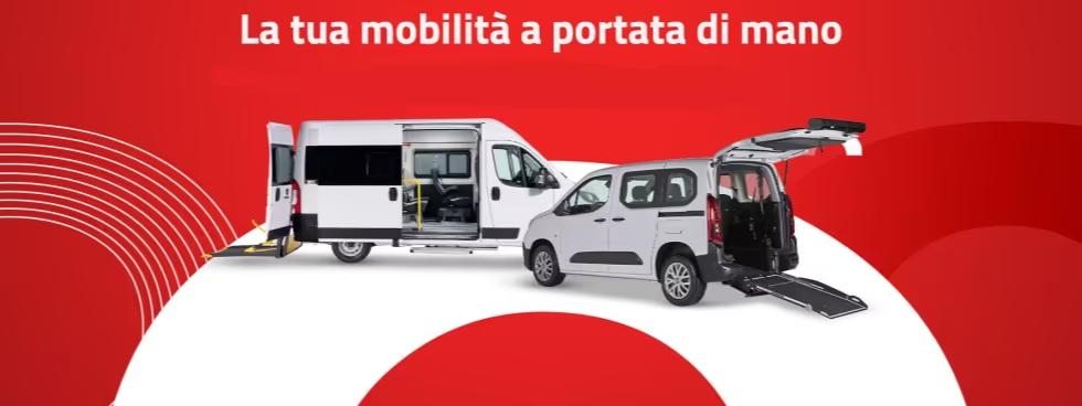 OLMEDO SPECIAL VEHICLES S.P.A.