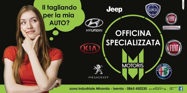 Motoris Srl - Miranda | Subito