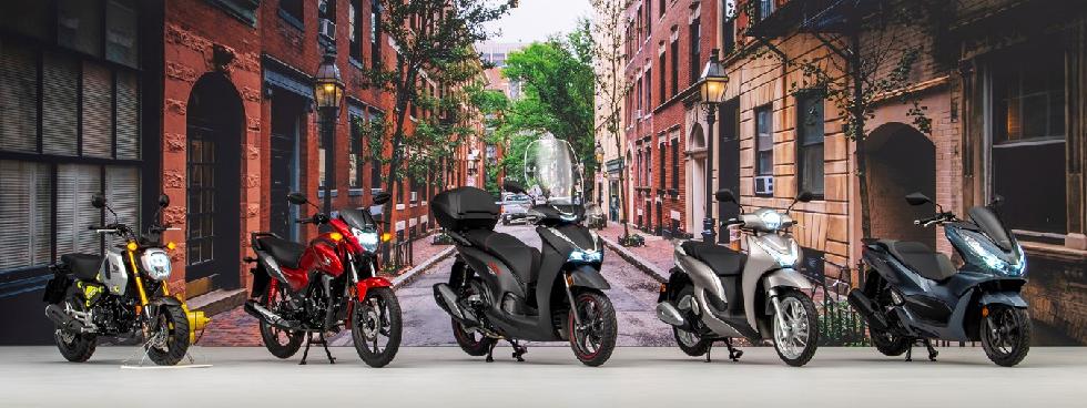 ESPRESSIONEMOTO HONDA - SARZANA