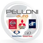 PELLONI AUTO S.p.A. logo