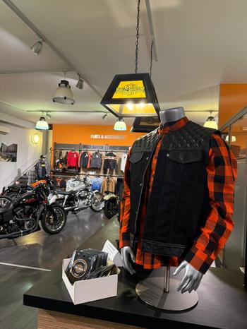 Bike 'n' Roll - Collecchio | Subito