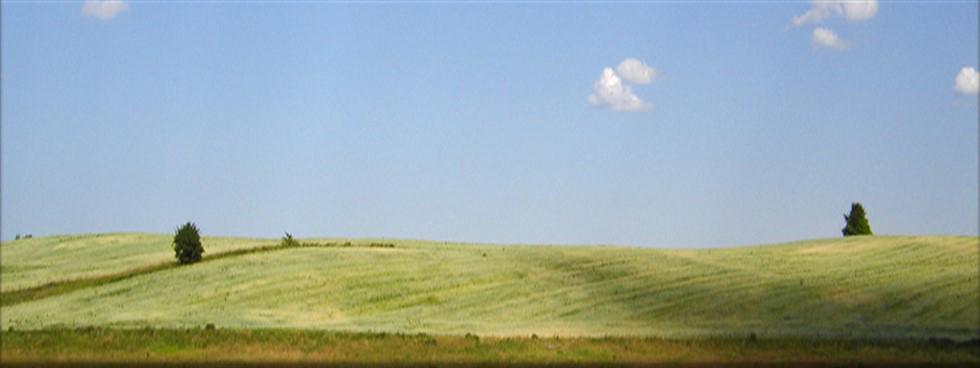 Cesaro Macchine Agricole Srl