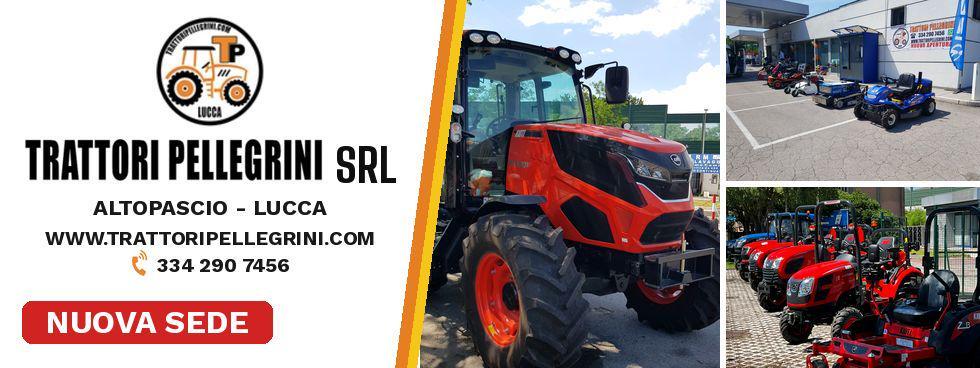 TRATTORI PELLEGRINI SRL