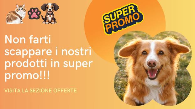 ION BEAM DI NADIA ALBERGO & C. S.N.C. - Misterbianco | Subito