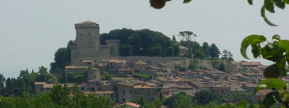 IL CASTELLO IMMOBILIARE SRL