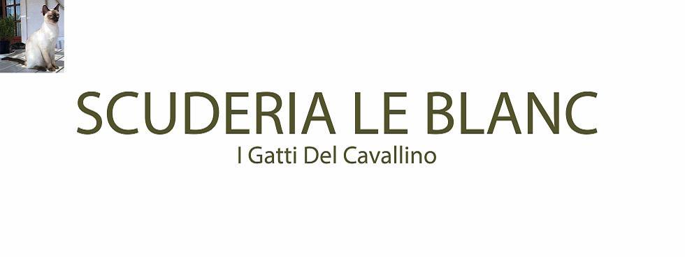 ALLEVAMENTO SCUDERIA LE BLANC
