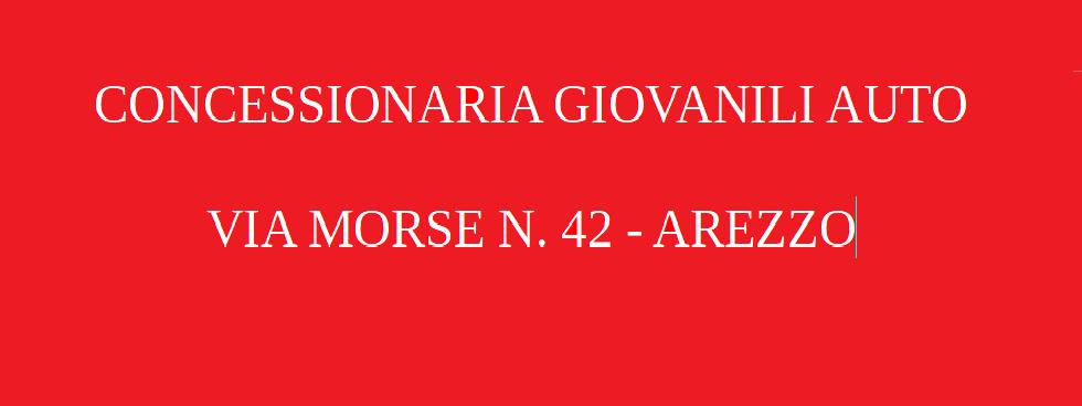 CONCESSIONARIA GIOVANILI AREZZO