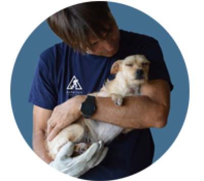 A.L.F.A. ASSOCIAZIONE LOVE FOR ANIMALS - Roma | Subito