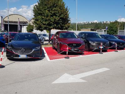 Gruppo Jolly Automobili - Ceccano | Subito