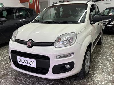 COLUCCI AUTO - Mola di Bari | Subito