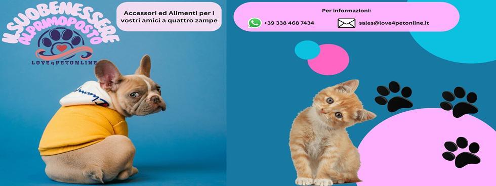 ION BEAM DI NADIA ALBERGO & C. S.N.C.