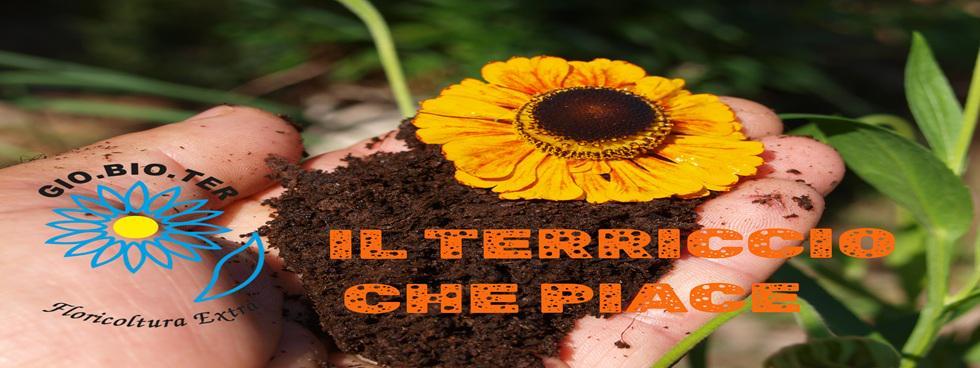 FLORICOLTURA  EXTRA DI BARTOLINI GIOVANNI