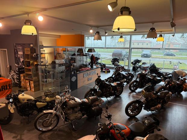 Bike 'n' Roll - Collecchio | Subito