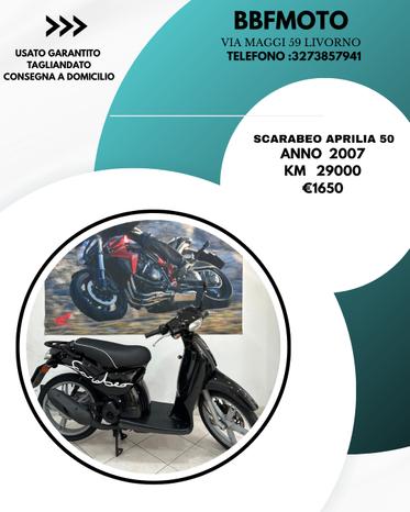 BBFMOTO - Livorno | Subito