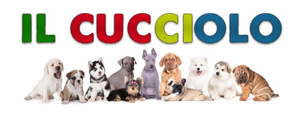 IL CUCCIOLO