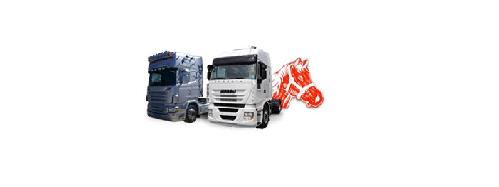 OSTAN VEICOLI INDUSTRIALI SRL