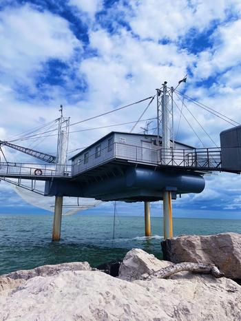 STUDIO MACAONE SRL - Ravenna | Subito