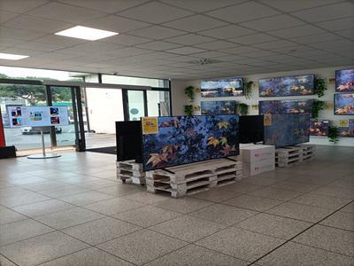 E3 Elettronica s.n.c - Castiglione delle Stiviere | Subito