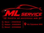ML SERVICE logo