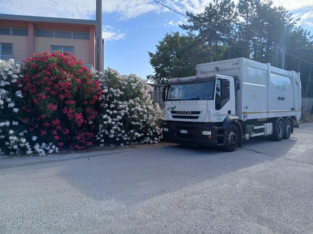 TORCHIO S.R.L. - Tigliole | Subito