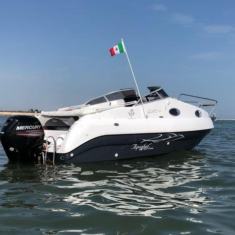 NEW NAUTIC SHOW SRL - Mirano | Subito