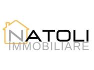 NATOLI IMMOBILIARE logo