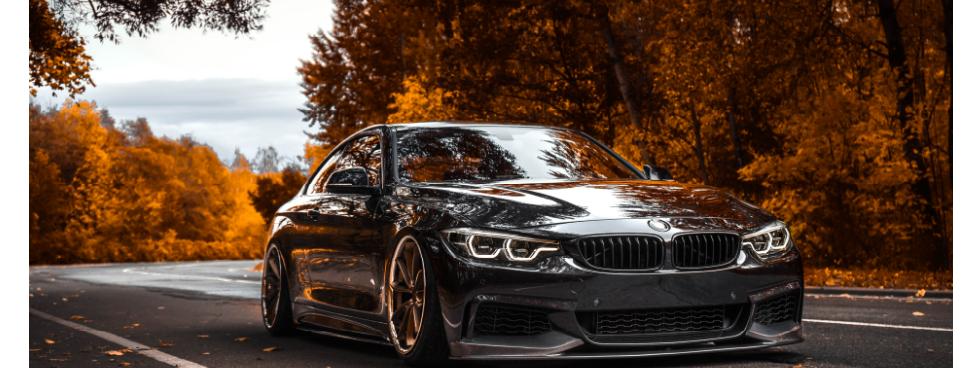 TOP CARS