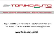 TORINO AUTO S.R.L. logo