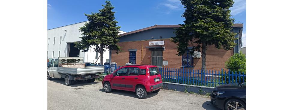 PACIARIELLO CAR SERVICE