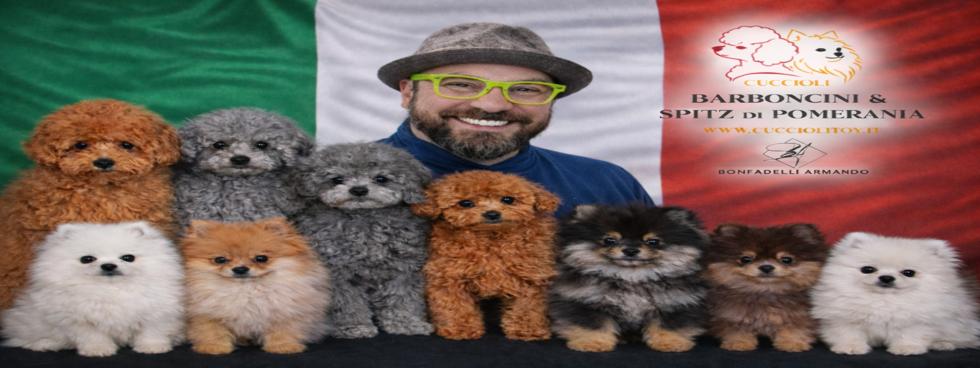 Cuccioli Toy