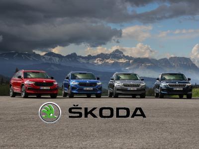 RINALDI SPA - Rivoli - Concessionaria Audi, Volkswagen, Škoda - Subito